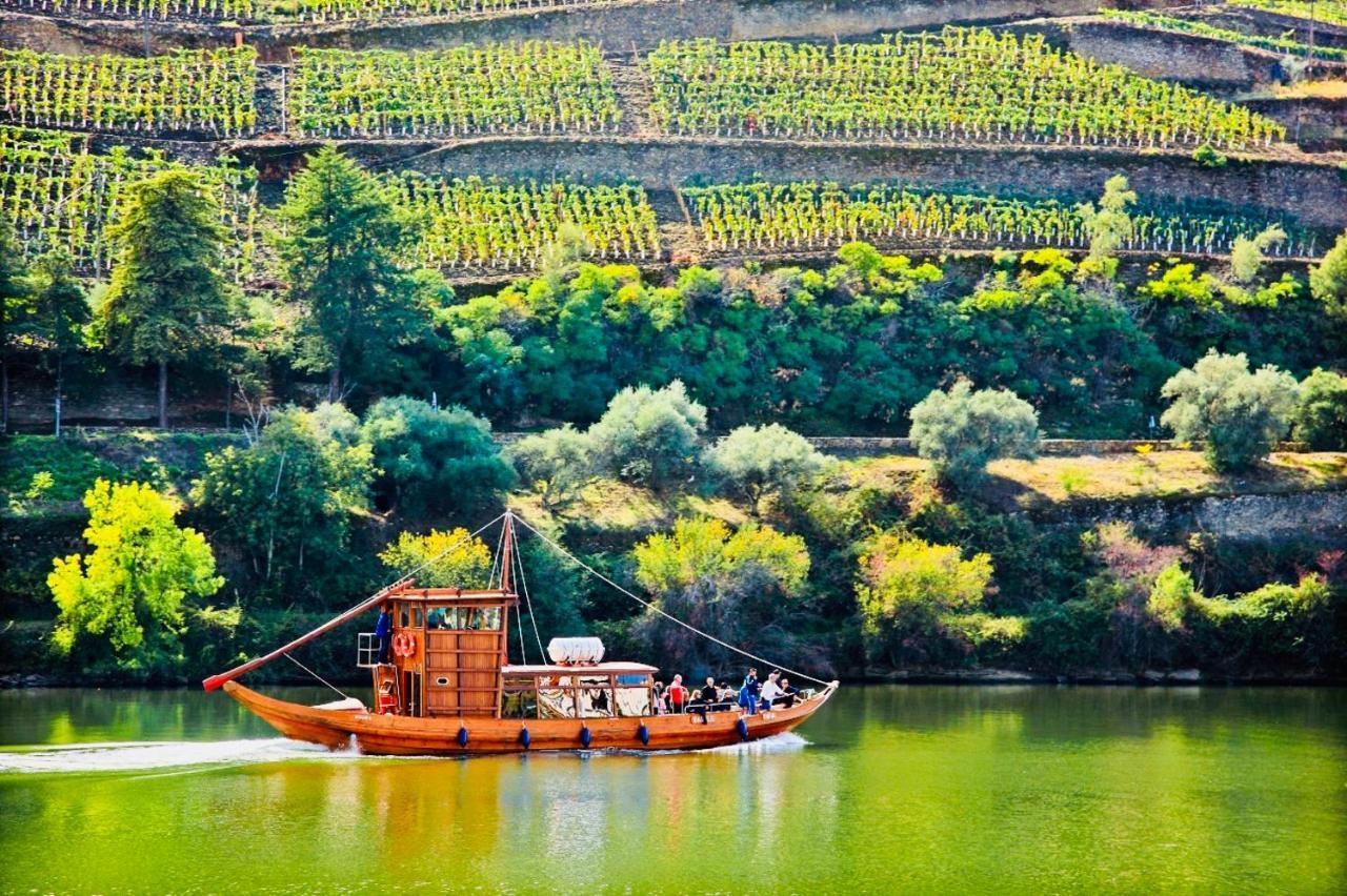 Santa Cruz do Douro Solar Do Douroヴィラ エクステリア 写真